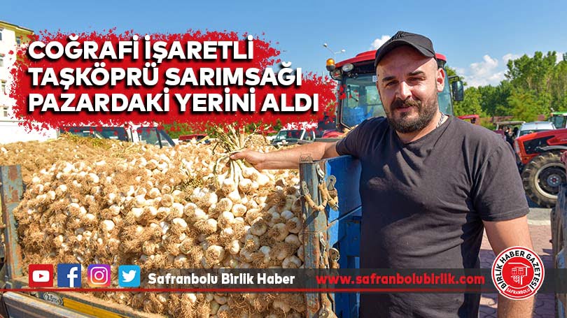 Coğrafi işaretli Taşköprü sarımsağı pazardaki yerini aldı