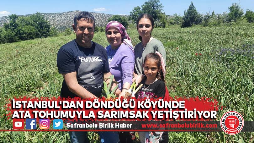 İstanbul’dan döndüğü köyünde ata tohumuyla sarımsak yetiştiriyor