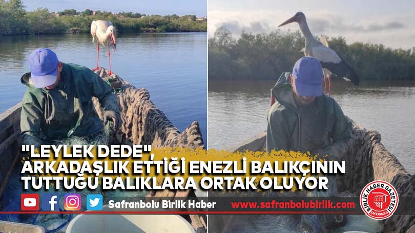 “Leylek Dede”, arkadaşlık ettiği Enezli balıkçının tuttuğu balıklara ortak oluyor