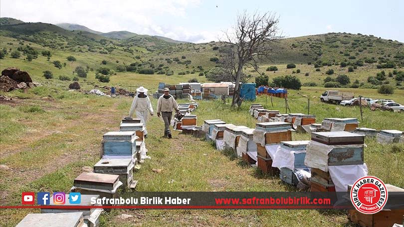 Devlet desteğiyle arıcılık yapan çift, kaliteli üretim için 3 kentin yaylalarını dolaşıyor