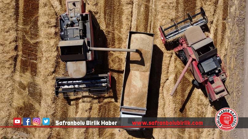 Anadolu Tarım İşletmesinin yetiştirdiği yerli buğday tohumları çiftçiye dağıtılacak