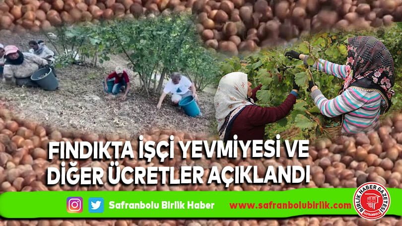 Fındıkta işçi yevmiyesi ve diğer ücretler açıklandı