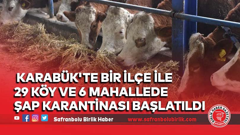 Karabük’te bir ilçe ile 29 köy ve 6 mahallede şap karantinası başlatıldı