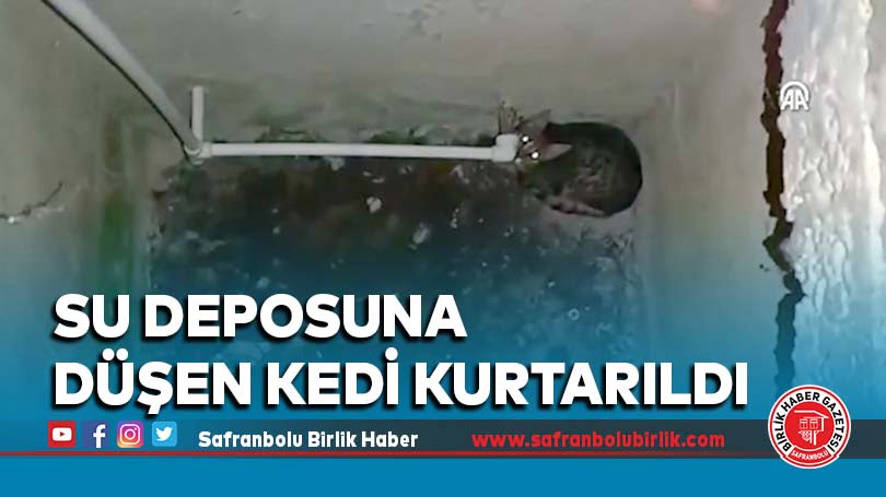 Su deposuna düşen kedi kurtarıldı