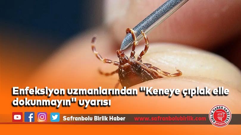 Enfeksiyon uzmanlarından “Keneye çıplak elle dokunmayın” uyarısı