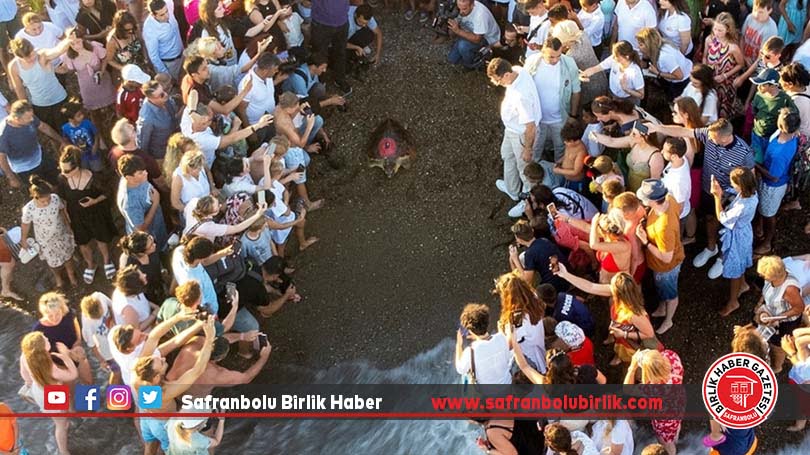Tedavi edilip denize bırakılan “Lara” adlı caretta caretta, bir yılda 3 bin kilometre yol katetti
