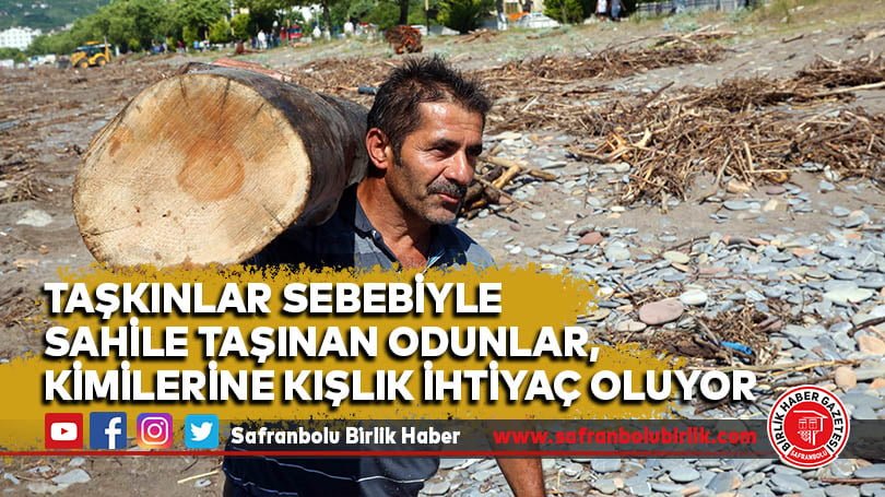 Taşkınlar sebebiyle sahile taşınan odunlar, kimilerine kışlık ihtiyaç oluyor