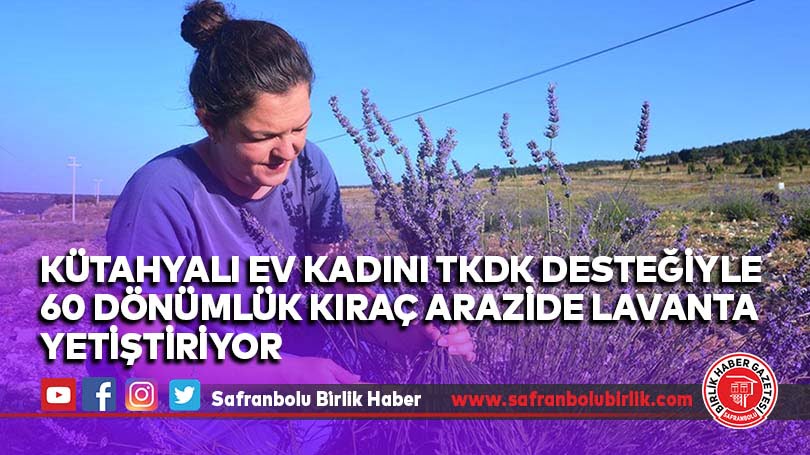 Kütahyalı ev kadını TKDK desteğiyle 60 dönümlük kıraç arazide lavanta yetiştiriyor