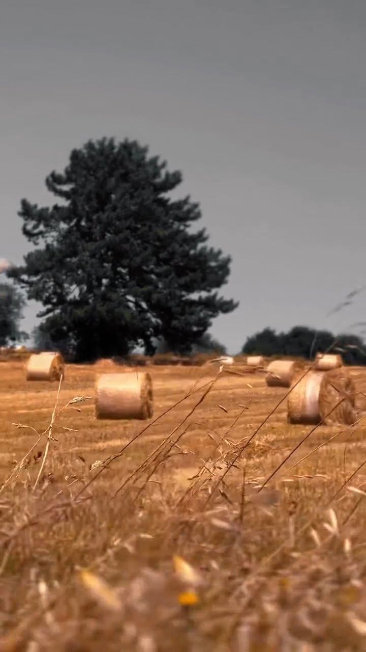 Safranbolu Düzce-Sırçalı Kanyonu