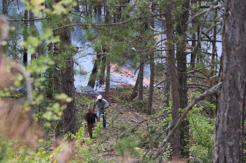 Bolu’da orman yangını alanlarındaki soğutma çalışması sürüyor