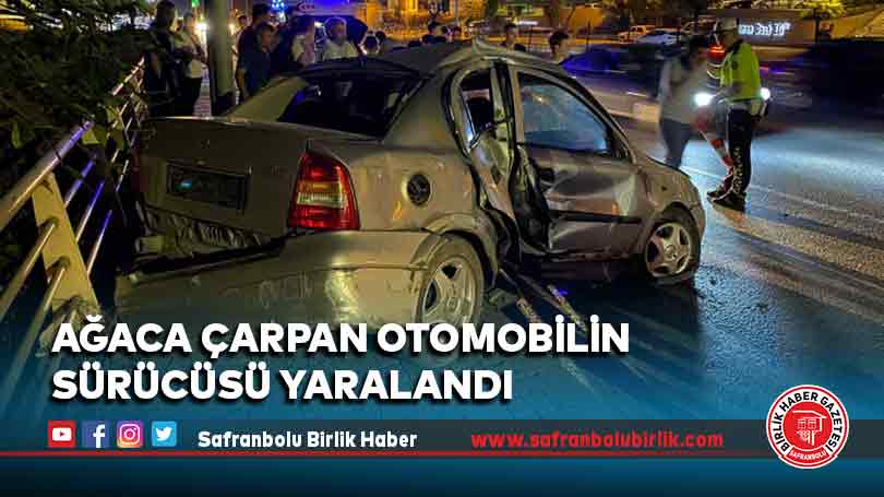 Ağaca çarpan otomobilin sürücüsü yaralandı