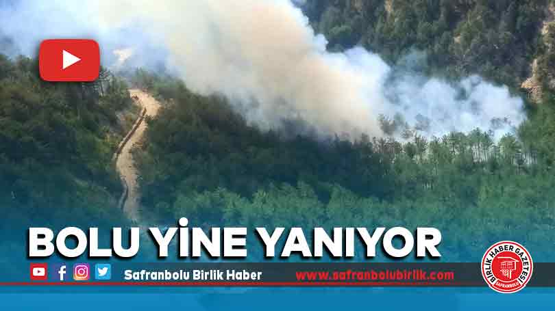 Bolu yine yanıyor