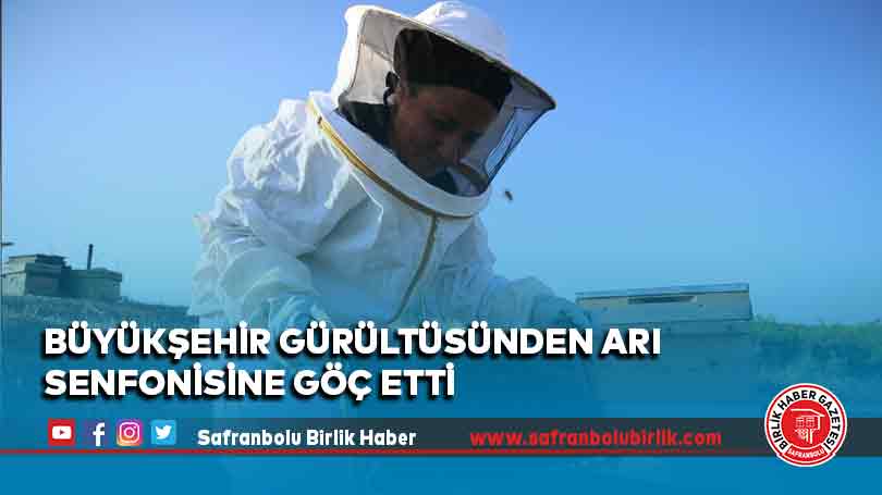 Büyükşehir gürültüsünden arı senfonisine göç etti