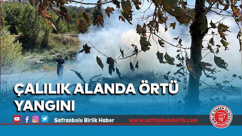 Çalılık alanda örtü yangını