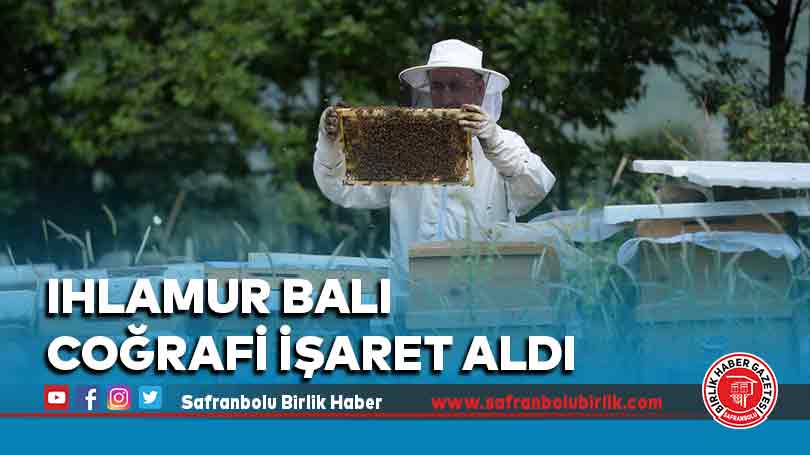 Ihlamur Balı Coğrafi İşaret Aldı