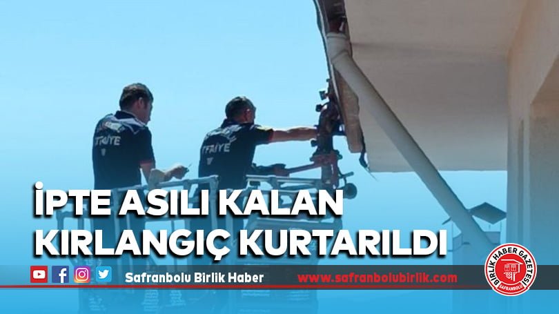 İpte asılı kalan kırlangıç kurtarıldı