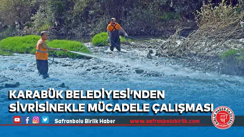 Karabük Belediyesi’nden Sivrisinekle Mücadele Çalışması