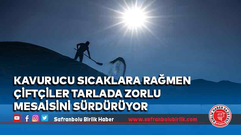 Kavurucu sıcaklara rağmen çiftçiler tarlada zorlu mesaisini sürdürüyor