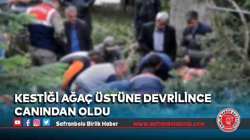 Kestiği ağaç üstüne devrilince canından oldu