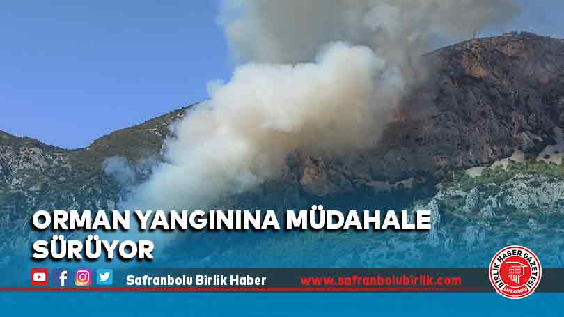 Orman yangınına müdahale sürüyor