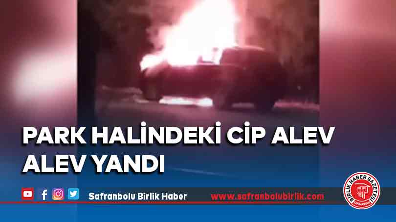 Park halindeki cip alev alev yandı
