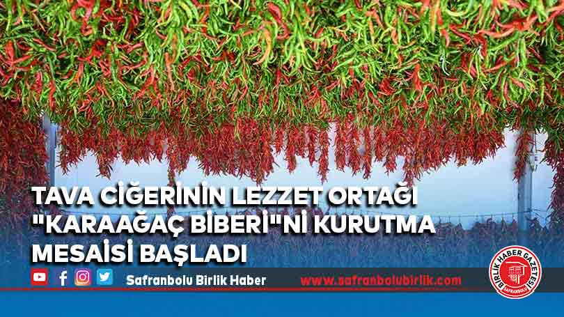 Tava ciğerinin lezzet ortağı “Karaağaç biberi”ni kurutma mesaisi başladı