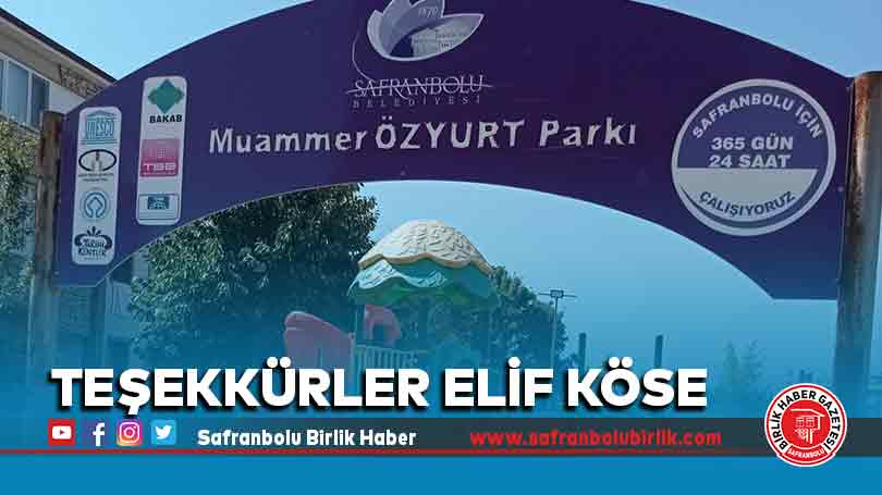 Teşekkürler Elif Köse