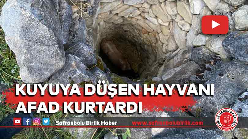 Kuyuya düşen hayvanı AFAD Kurtardı