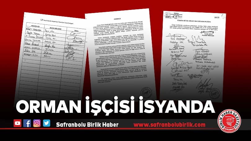 Orman işçisi isyanda