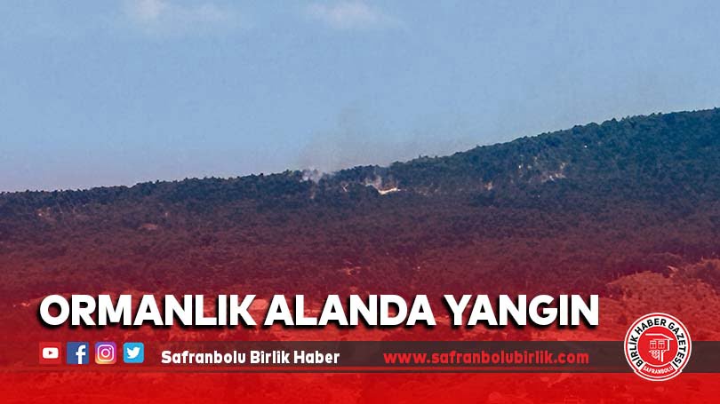 Ormanlık alanda yangın