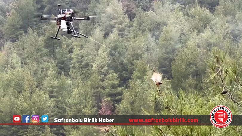 Çam kese böcekleriyle mücadele için dron geliştirildi