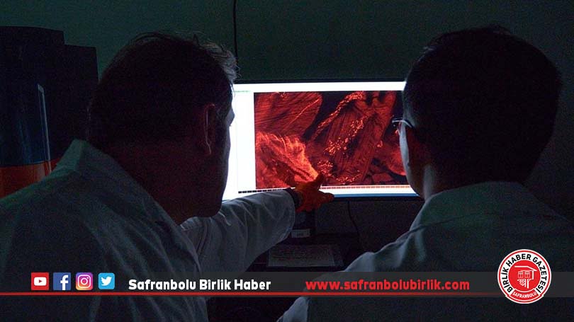 Türk profesörün “şeffaf görüntüleme” teknolojisi yapay zeka desteğiyle kansere yeni çözümler getirecek