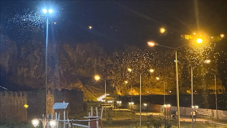 Ardahan’da “bir günlükler”in “ölüm uçuşu” sürüyor