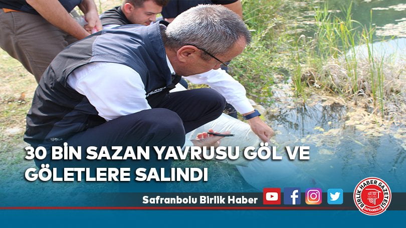 30 bin sazan yavrusu göl ve göletlere salındı