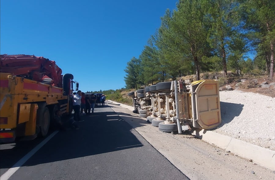 Yol kenarına devrildi