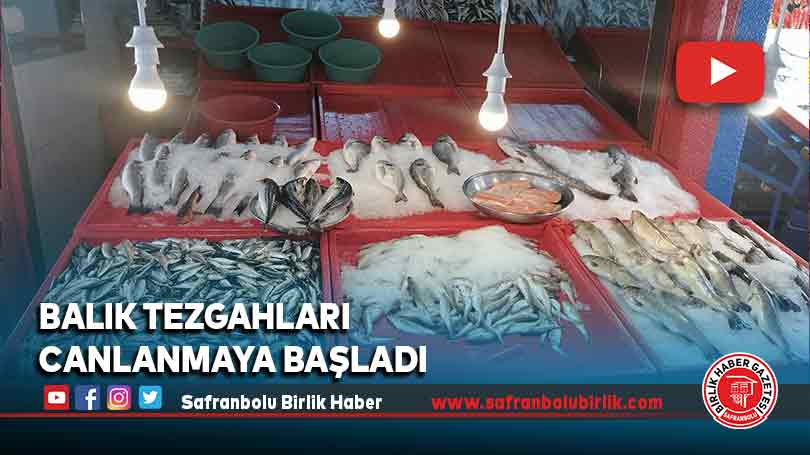 Balık tezgahları canlanmaya başladı
