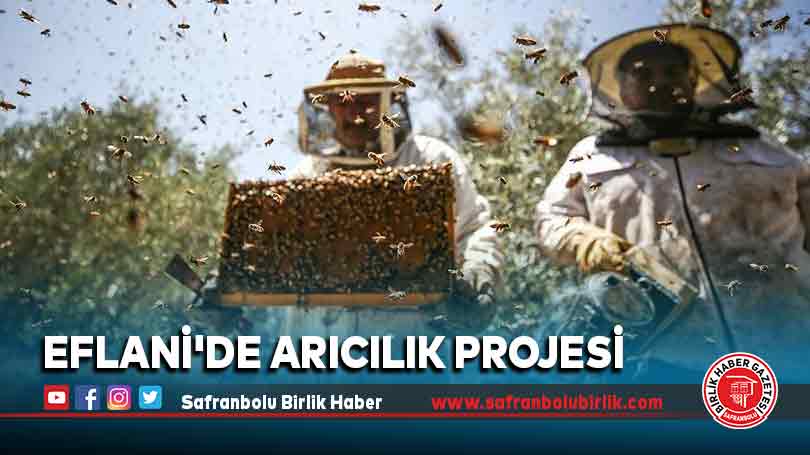 Eflani’de arıcılık projesi