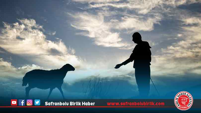 Göçerler trafiği aksatmamak için sürülerini köylere gece yolculuğuyla indiriyor