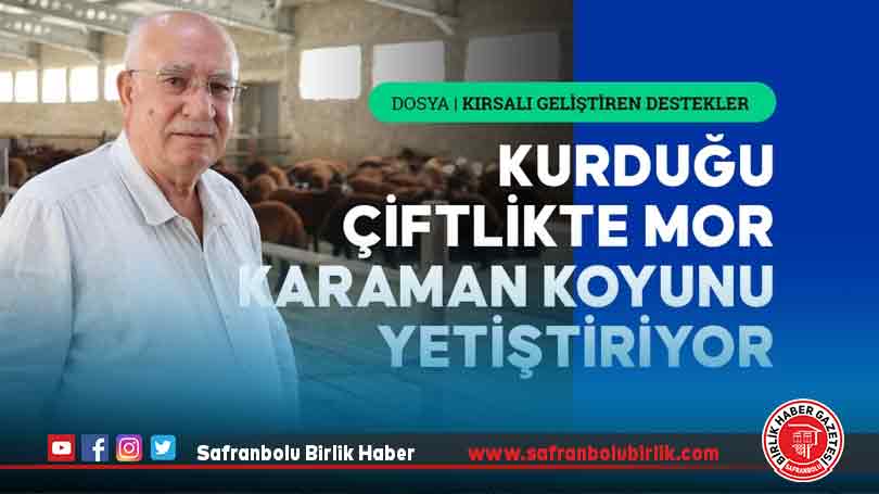 TKDK desteğiyle kurduğu çiftlikte mor Karaman koyunu yetiştiriyor