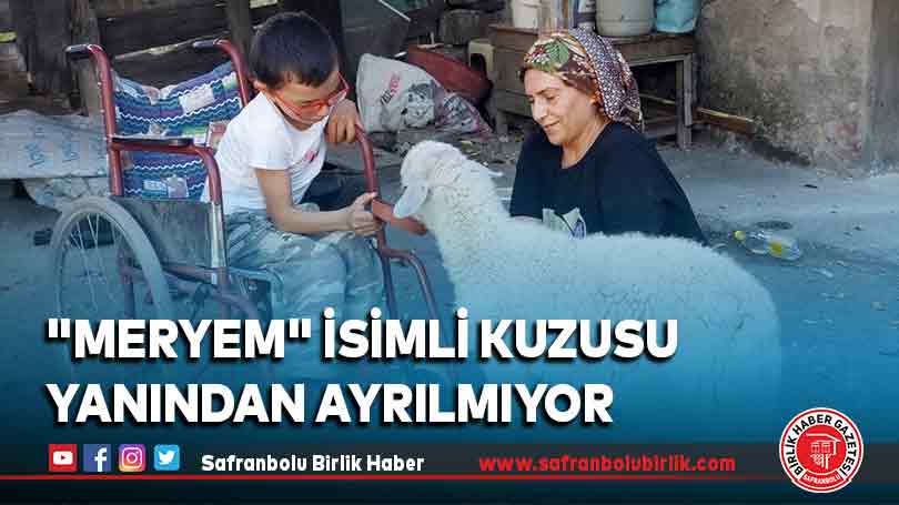 “Meryem” isimli kuzusu yanından ayrılmıyor
