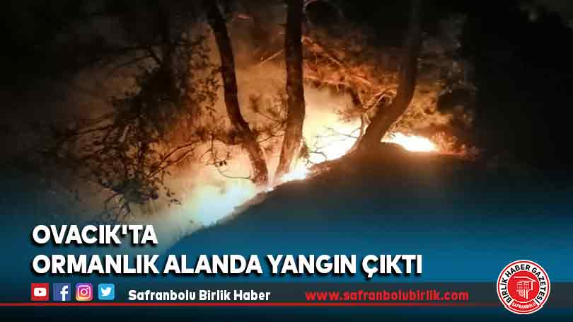Ovacık’ta ormanlık alanda yangın