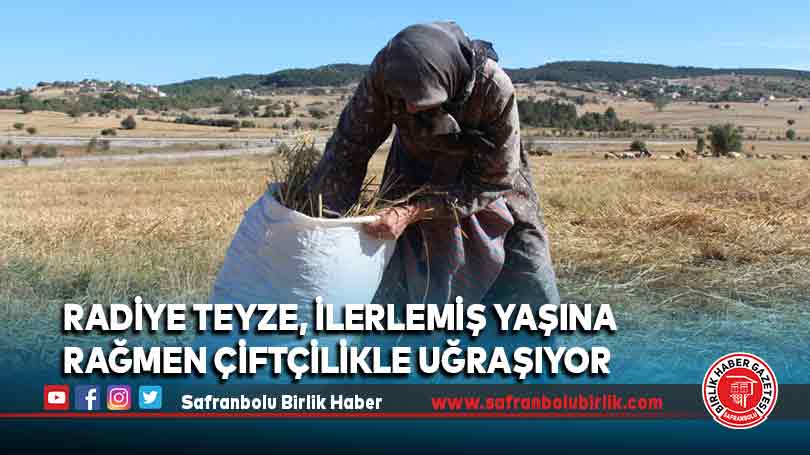 Radiye Teyze, ilerlemiş yaşına rağmen çiftçilikle uğraşıyor