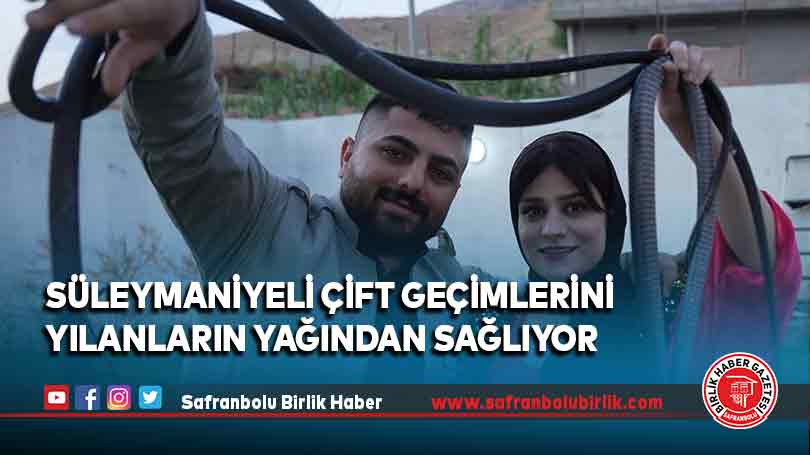 Süleymaniyeli çift geçimlerini evlerinde besledikleri yılanların yağından sağlıyor