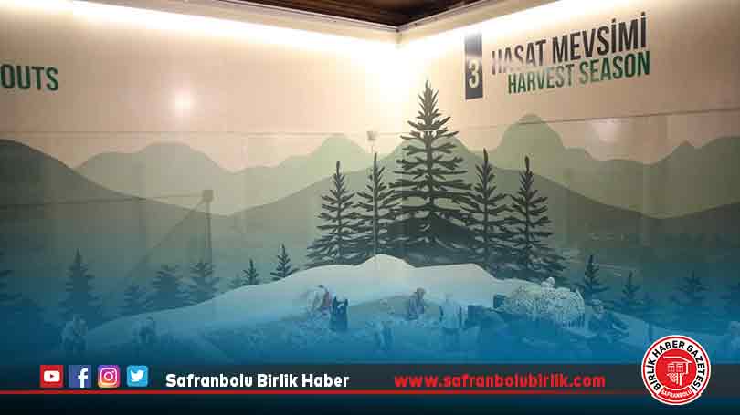 Taşköprü sarımsağının tarladan pazara serüveni maket ve heykellerle anlatılıyor