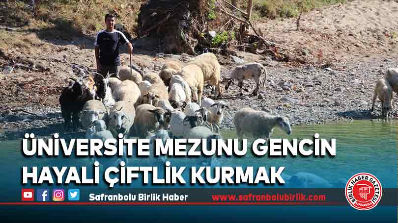 Üniversite mezunu gencin hayali çiftlik kurmak