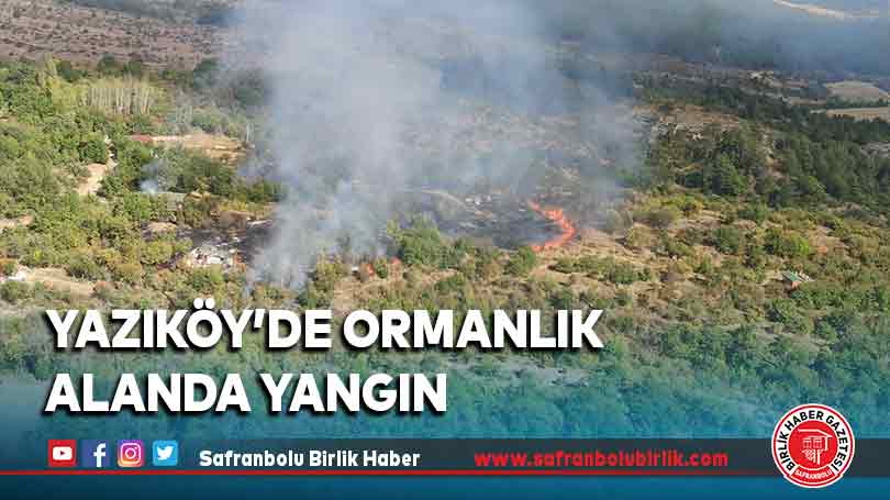 Yazıköy’de ormanlık alanda yangın