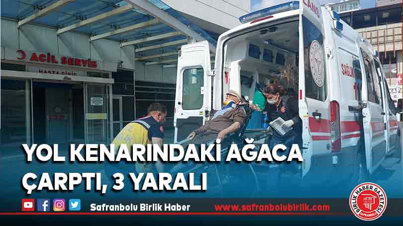Yol kenarındaki ağaca çarptı, 3 yaralı