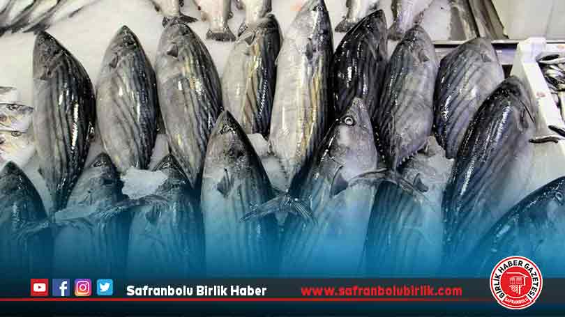 İklim değişikliği balıkları da olumsuz etkiledi