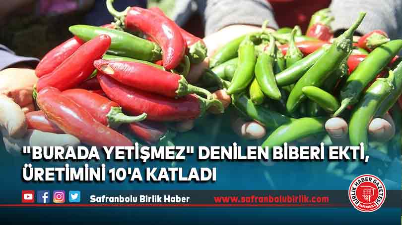 “Burada yetişmez” denilen biberi ekti, üretimini 10’a katladı