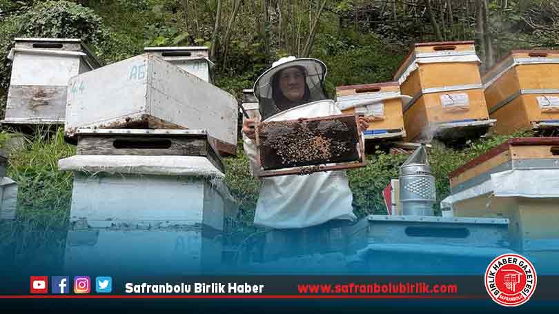Karadenizli kadın arıcı 38 yıldır bal üretiyor